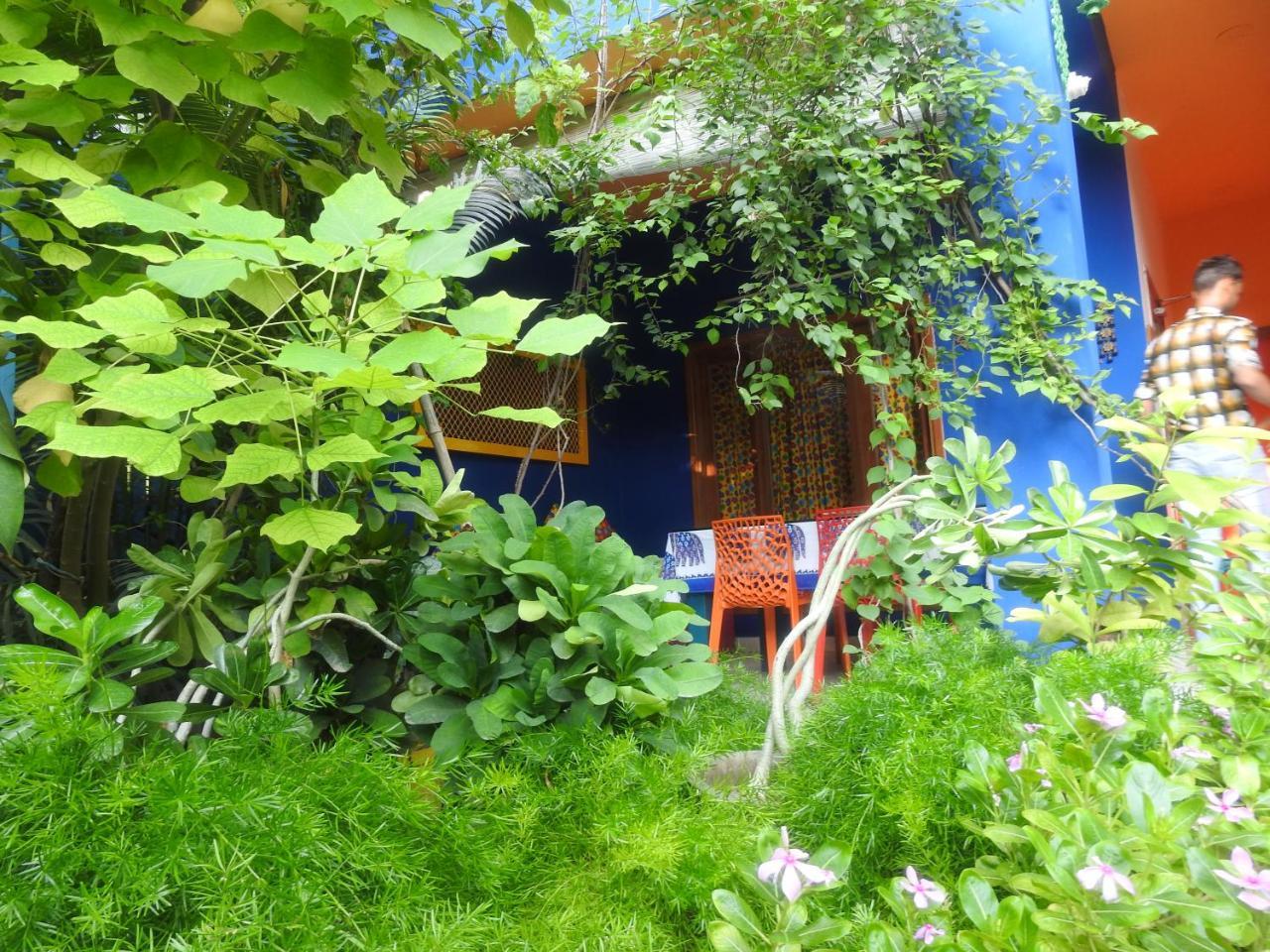 The Coral Tree Boutique Homestay 아그라 외부 사진